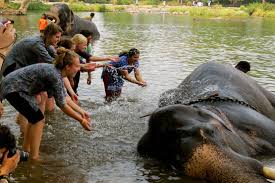 Kerala Group Tour Packages | call 9899567825 Avail 50% Off